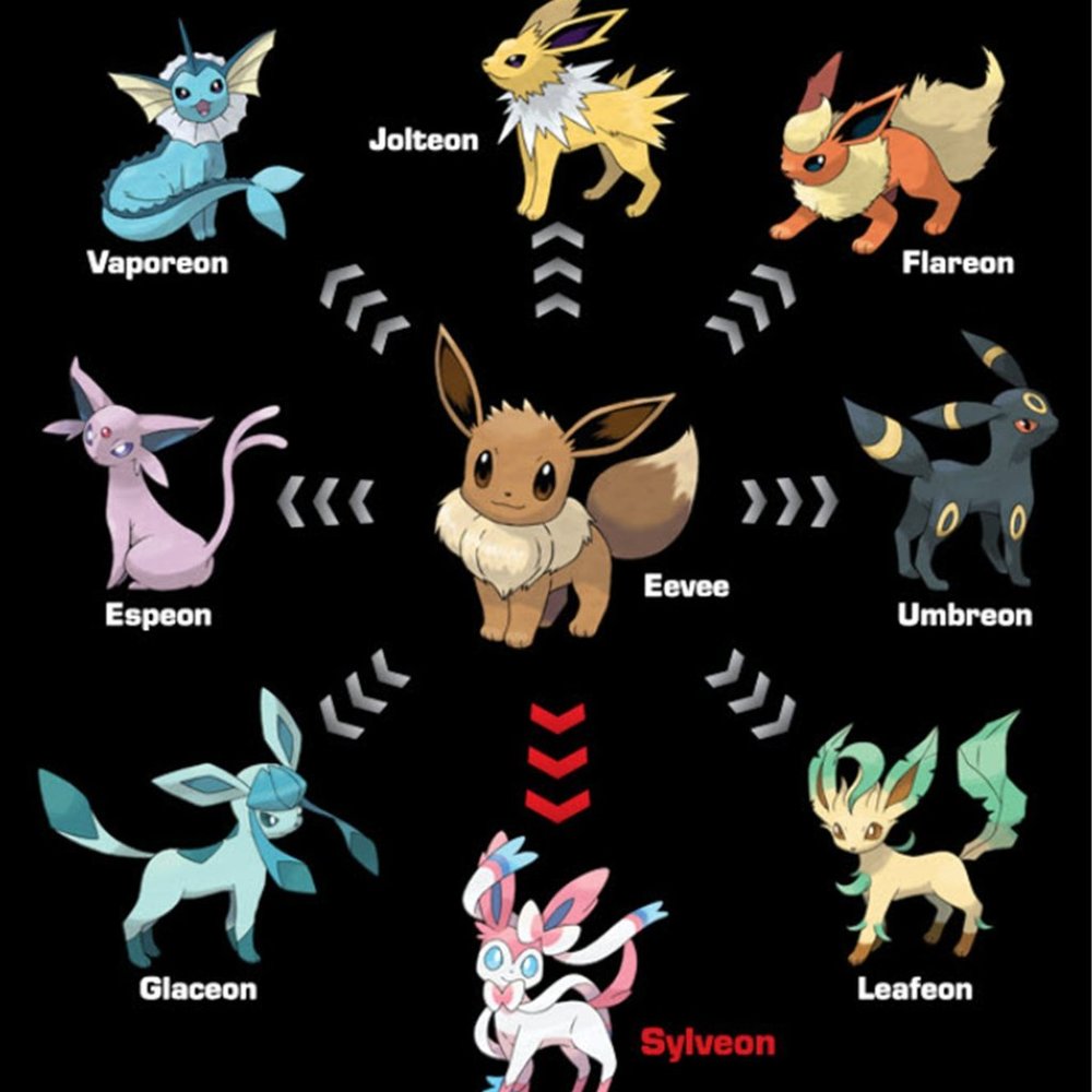 NWOT Long Sleeve T-shirt material